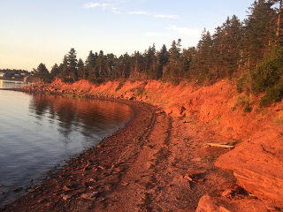 Cavendish red shore Cavendish red shore cliffs with trees